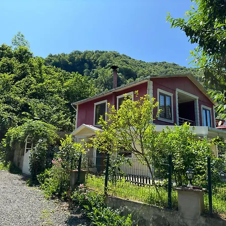Family Villa Trabzon